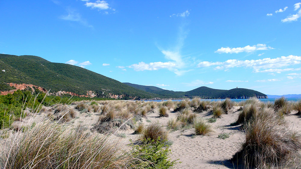 toscanapetfriendly_maremma02