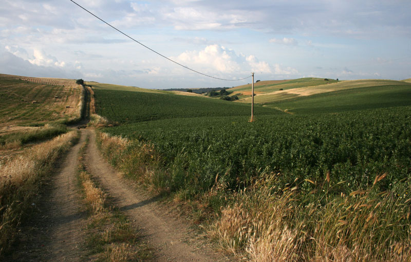 toscanapetfriendly_maremma07