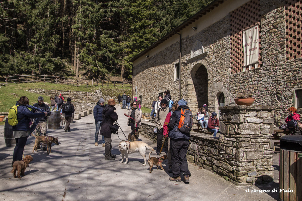 Trekking sulle tracce de ‘Medici